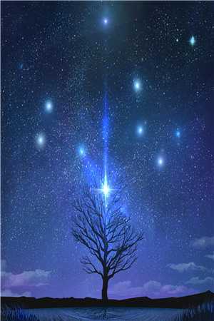 小说跟校花交往后，她成了当红巨星苏阳