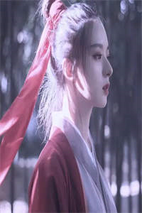 绝世护花高手